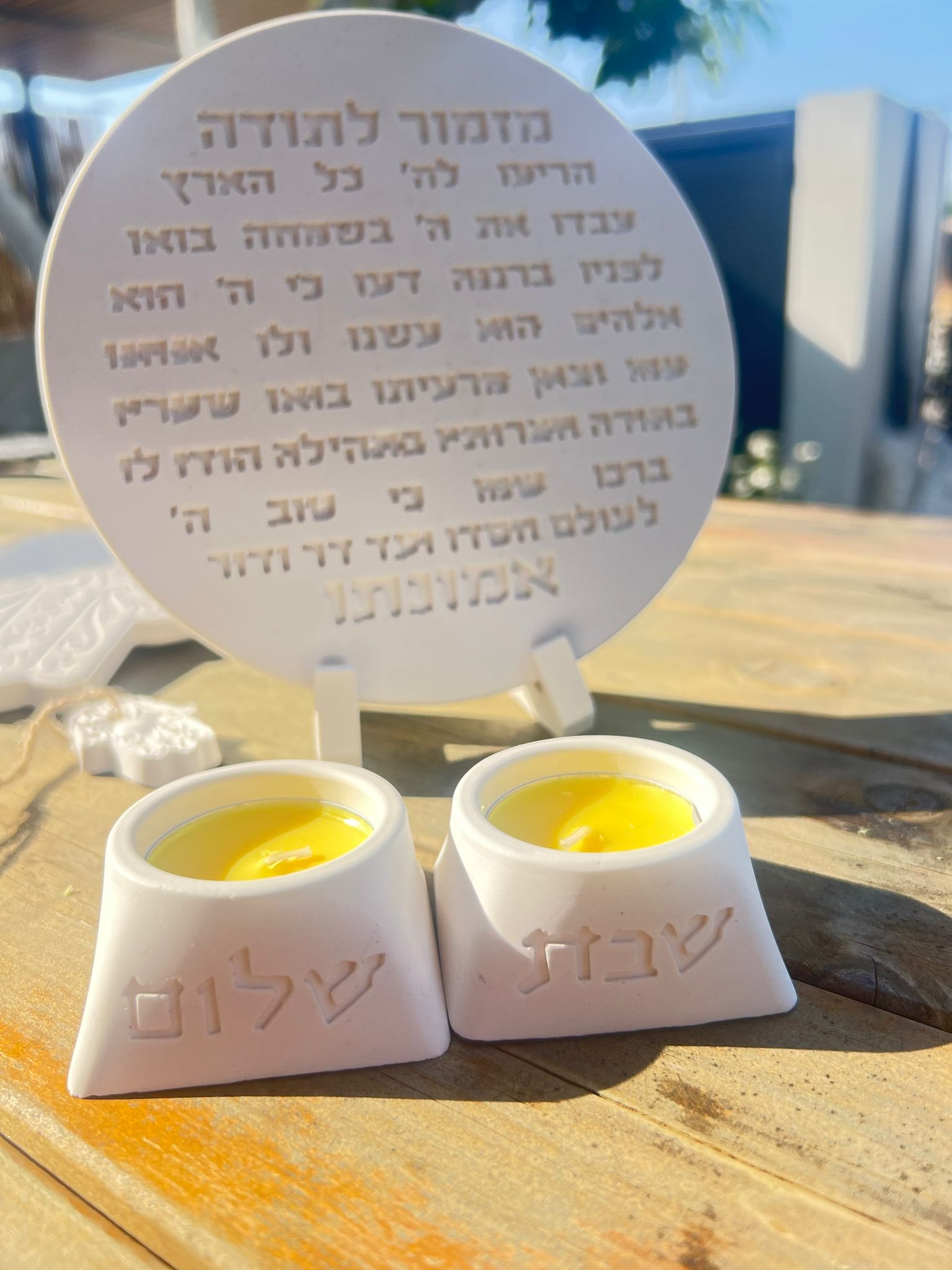 תמונה 6