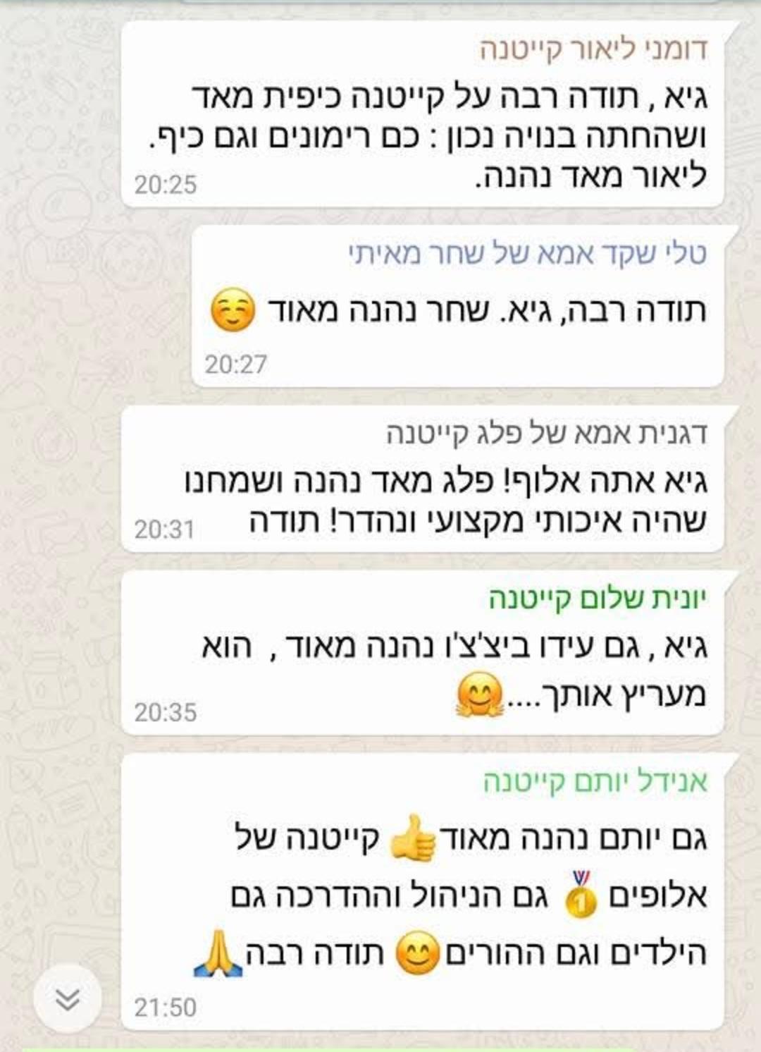 ביקורת הורה